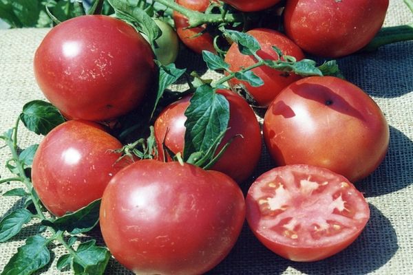 Tomates mûres