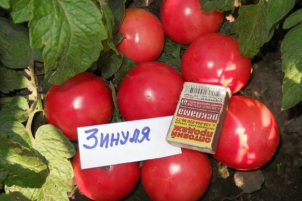 Ripe tomatoes