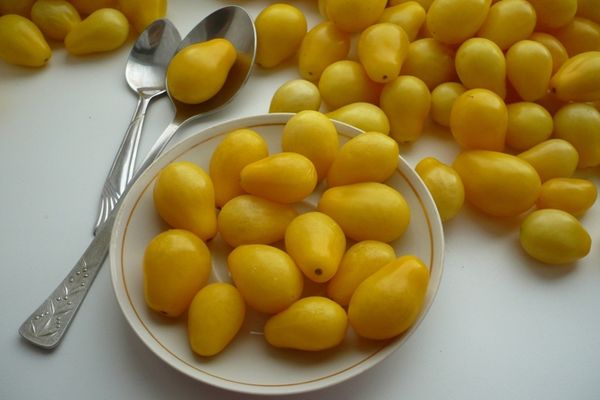 Yellow tomatoes