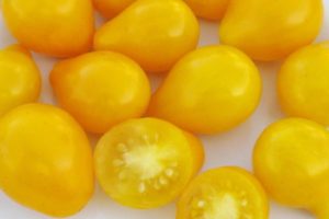 Description de la variété de tomates Golden Drop et Bifseller Pink F1