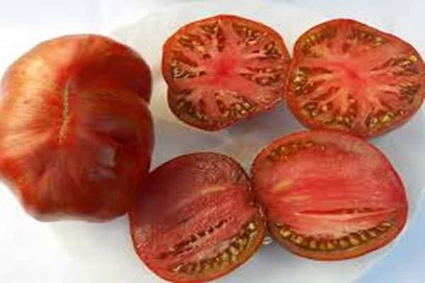 potongan tomato