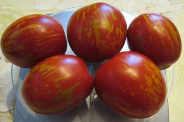 tomatoes on the scales