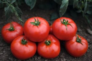 Caractéristiques et description de la variété de tomate Tonopa F1