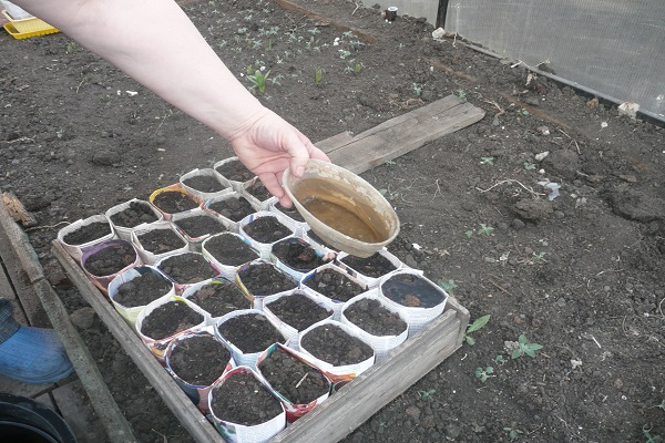 Seed room