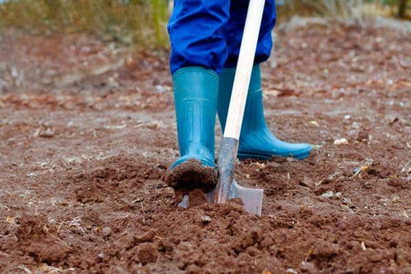 digging soil