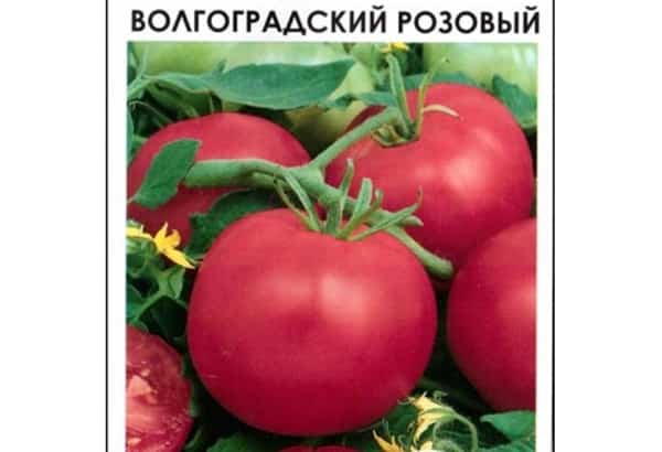 variétés de tomates Volgograd rose