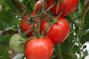 Description de la variété de tomates Kupets, ses caractéristiques et son rendement