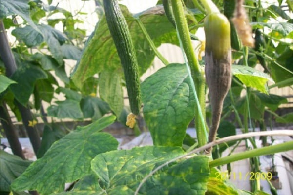 arrêt de l'alimentation