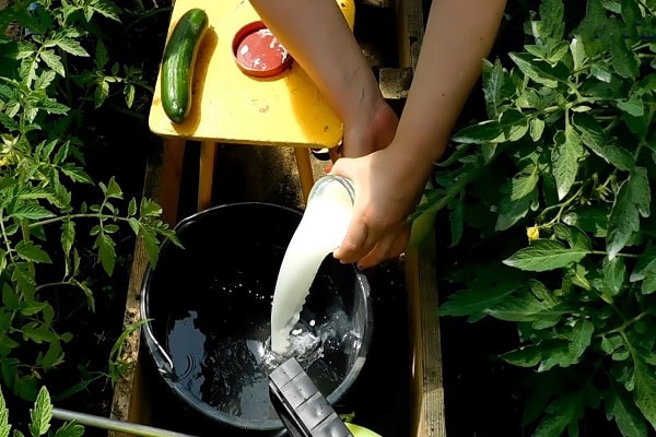 refresco y jabón