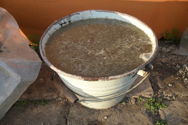 excrementos de pollo en un balde