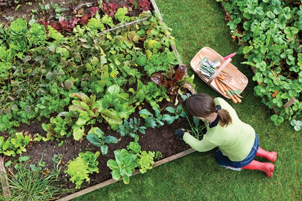 girl in the garden