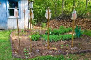 How to make a do-it-yourself drip irrigation system for cucumbers in a greenhouse and open field