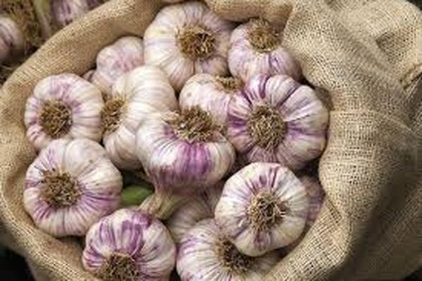 garlic in a bag