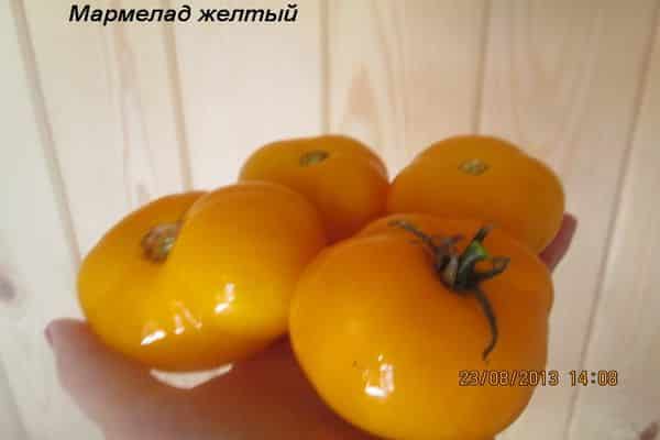 mermelada de tomate