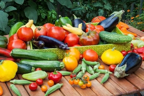 vegetable stew