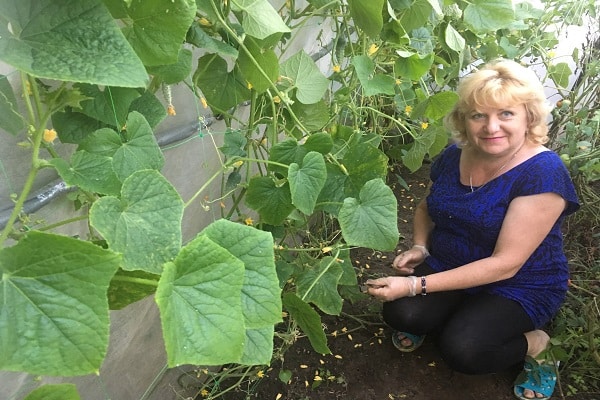 agrotekniset käytännöt