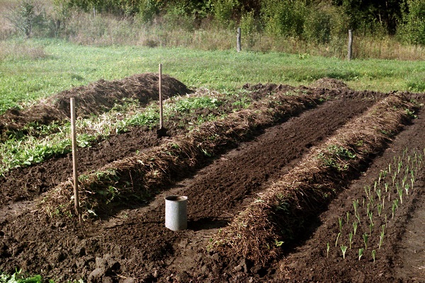 soil preparation