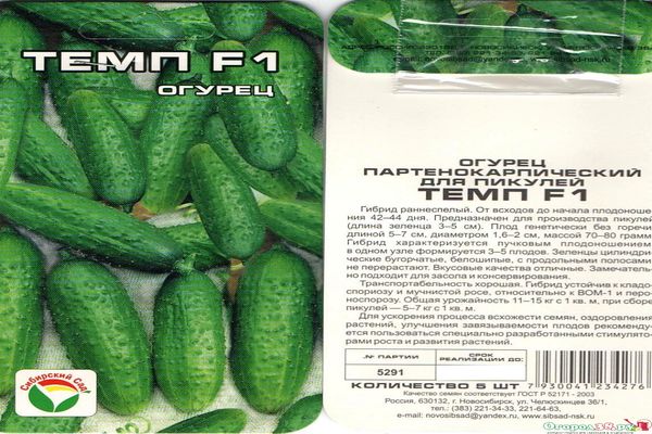 Characteristics and description of the temp cucumber variety, its yield