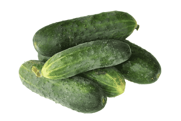 cucumber fruit