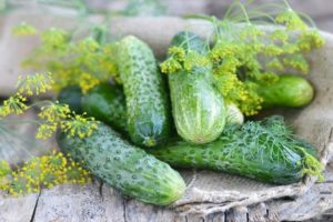 Características y descripción de la variedad de pepinos Courage, su cultivo y formación.