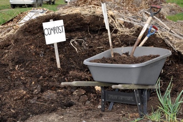 land with a wheelbarrow