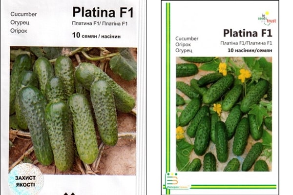 Cucumber Platinum f1