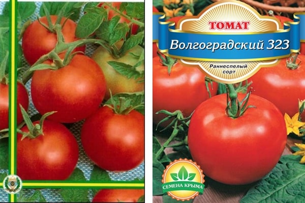 semillas de tomate Volgograd 323