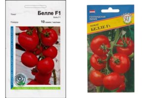 Description de la variété de tomate Bellé F1, ses caractéristiques et sa culture