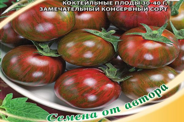 plantation de tomate