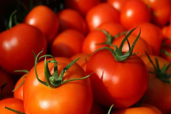 round tomatoes