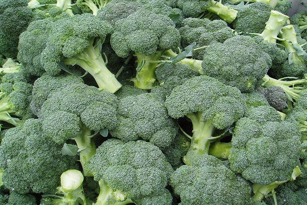 cabbage f broccoli