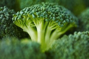 Best Broccoli Seeds with Descriptions