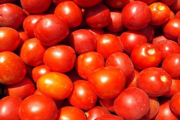 muchos tomates