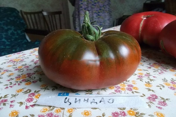 Tomate Qingdao