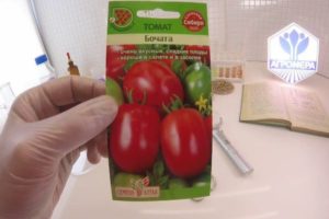 Description de la variété de tomate Bochata, caractéristiques et culture