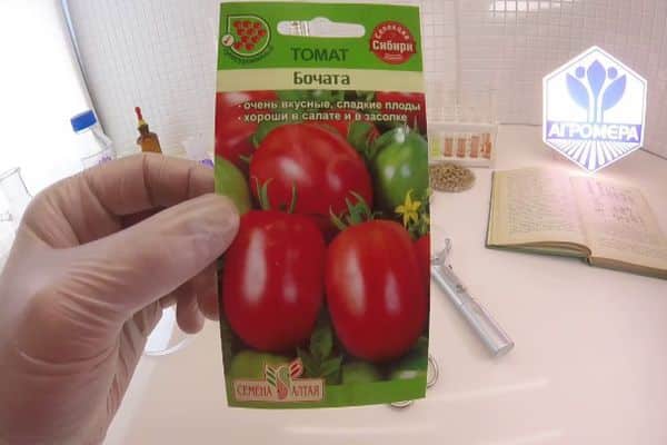 Tomato seeds