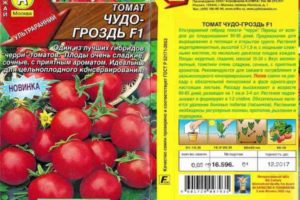 Description of the variety tomato Miracle F1 bunch and its characteristics