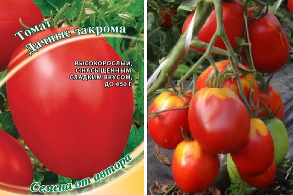 Graines de tomates