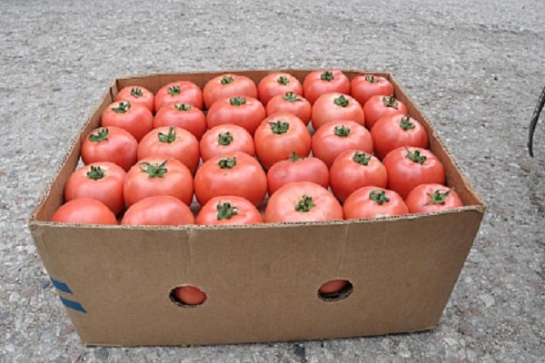 box of ripe