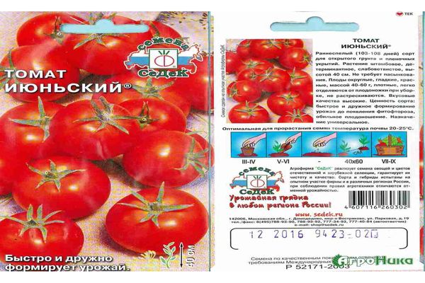 graines de tomates