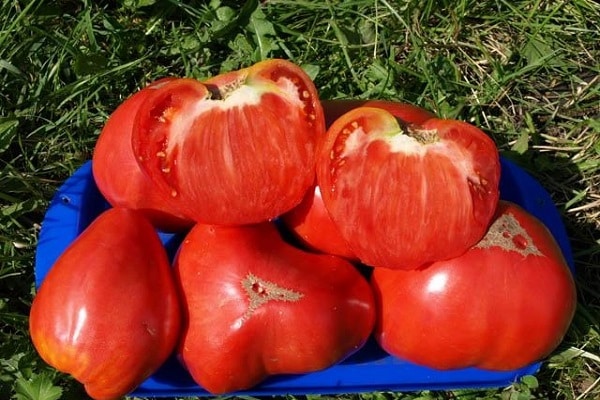 achetés auprès de producteurs de légumes