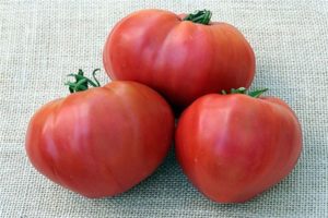 Caractéristiques et description de la variété de tomate du Kosovo