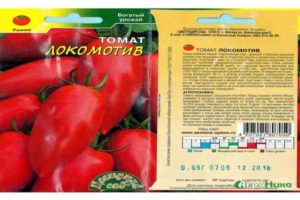 Descripción de la variedad de tomate estándar Lokomotiv y sus características.