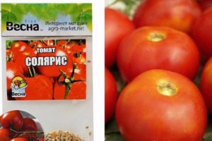 Penerangan mengenai varieti tomato Solaris, ciri penanaman