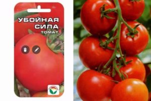 Descripción de la variedad de tomate Fuerza destructiva, sus características y rendimiento