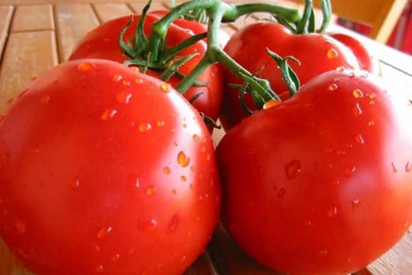 comerciante de tomate en la mesa