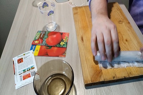 tomatoes for seedlings