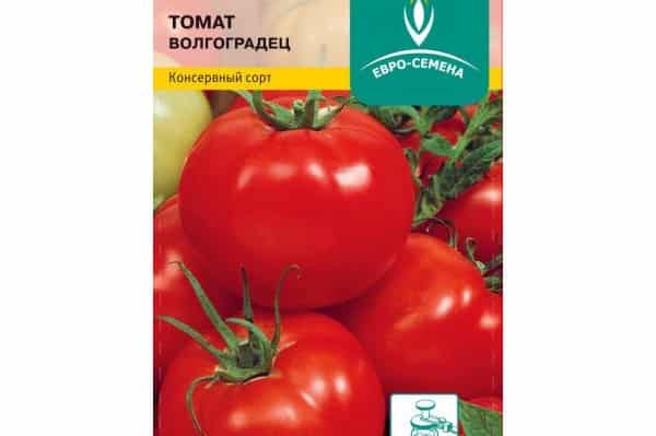 tomato variety Volgogradets