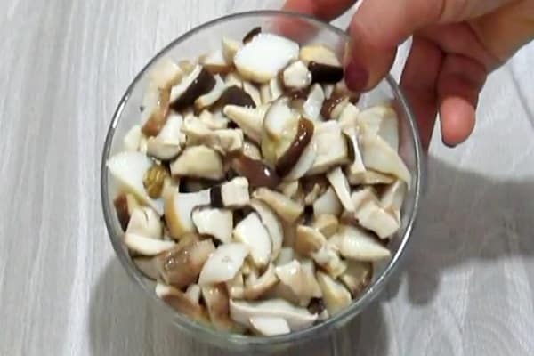 mushroom decoction