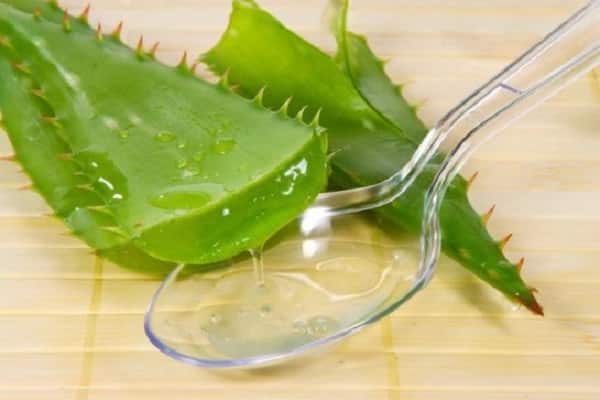 aloe juice